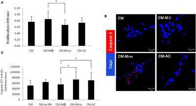 Soluble Mediators Produced by Pro-Resolving Macrophages Inhibit Angiogenesis